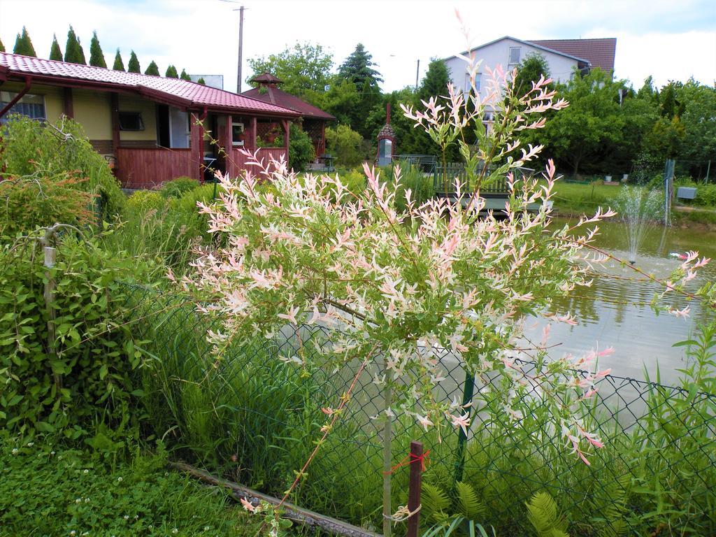 Pokoje Żabi Staw Mikołajki 外观 照片